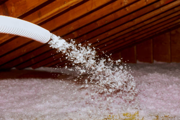Best Insulation Repair Services  in Ord, NE