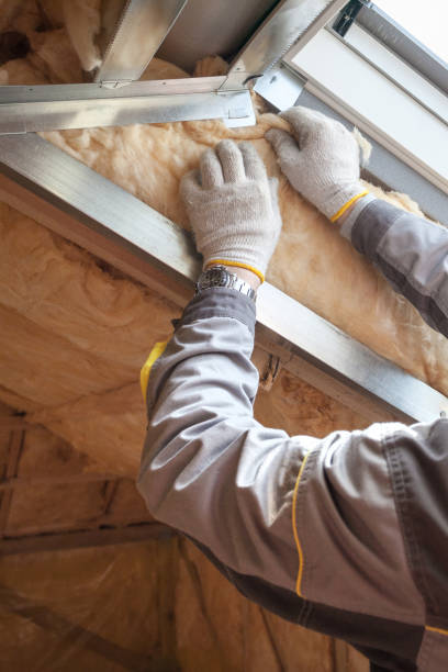 Best Professional Insulation Contractor  in Ord, NE