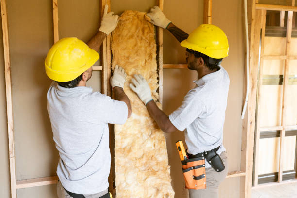 Best Insulation Repair Services  in Ord, NE